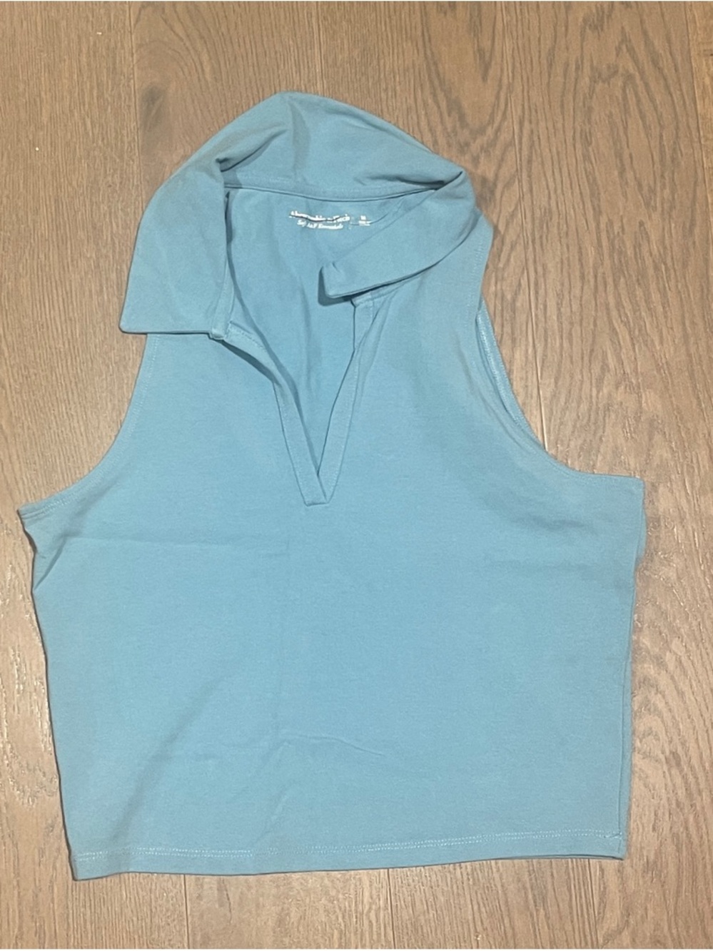 Abercrombie and Fitch Sleeveless Collared V-Neck Top